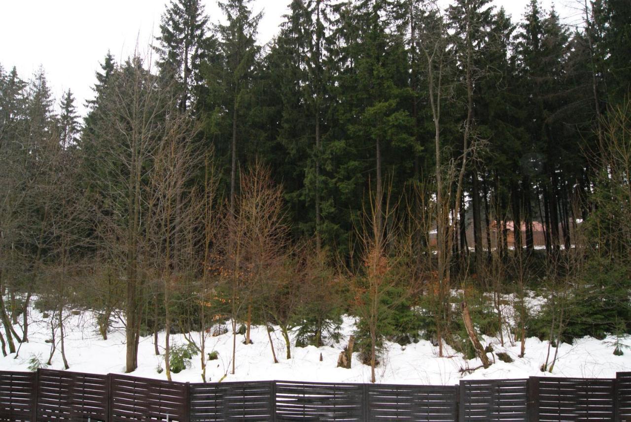 Fewo Adler 2-6 Personen Braunlage Zewnętrze zdjęcie